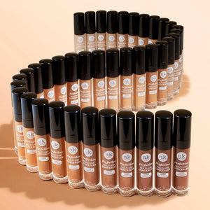 Nicka K Perfection Multi-Use Concealer